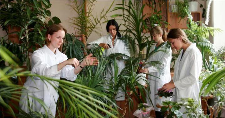 植物观察教学